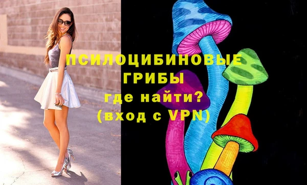 а пвп мука Армянск