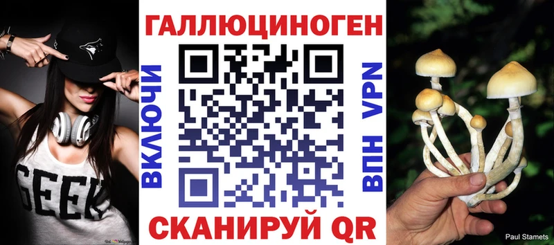купить наркотики сайты  Новомосковск  Псилоцибиновые грибы GOLDEN TEACHER 