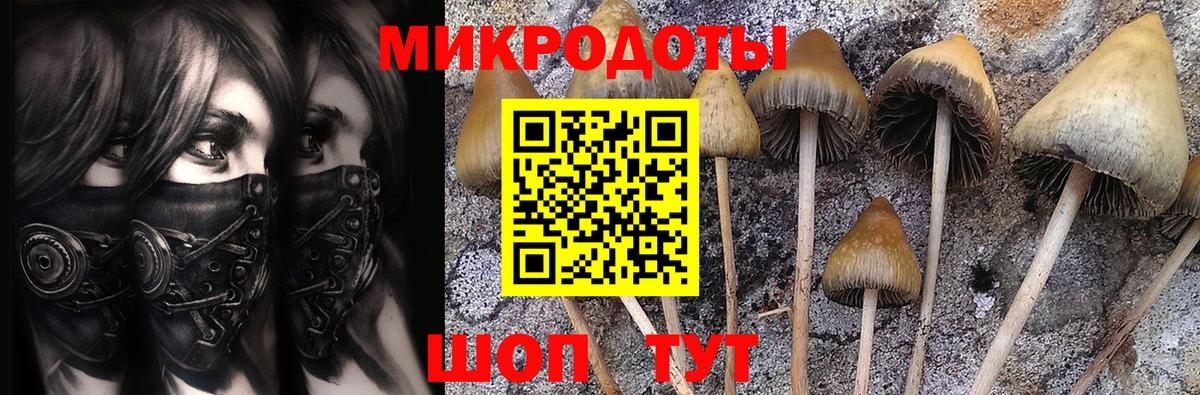 Галлюциногенные грибы мухоморы  где купить наркоту  Новомосковск  Вход с VPN 